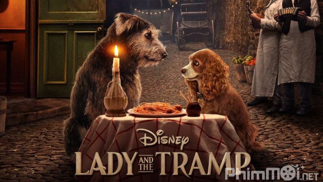 Tiểu Thư Và Chàng Lang Thang-Lady and the Tramp