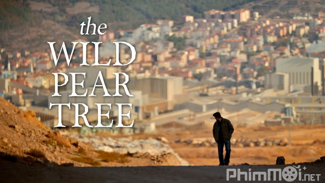 Cây Lê Dại - The Wild Pear Tree